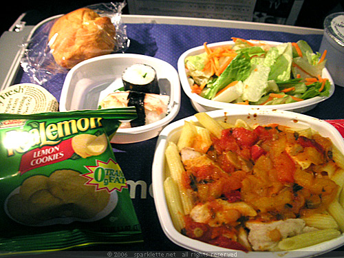 Lunch on American Airlines
